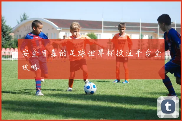 安全可靠的足球世界杯投注平台全攻略