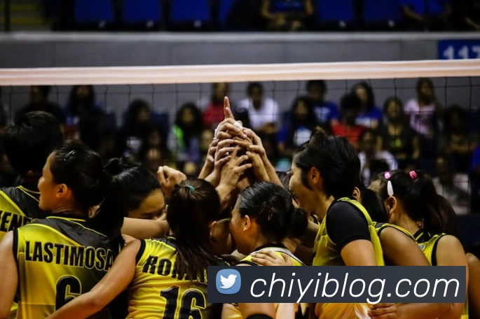 九游在线登陆官网品牌故事